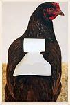 Chicken Armor Affordable Saddles .